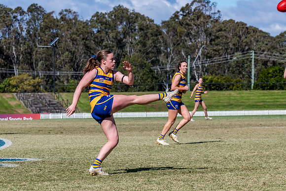 WPD QF - Sydney Uni v North Shore - 30 August 2025