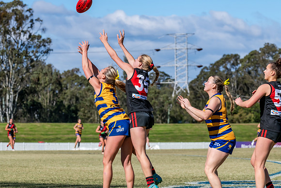 WPD QF - Sydney Uni v North Shore - 30 August 2025