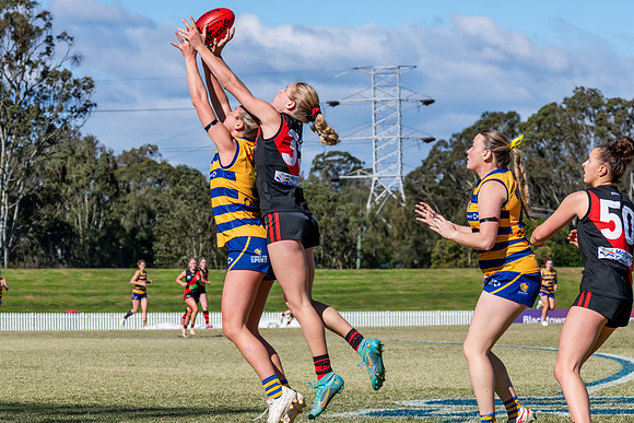 WPD QF - Sydney Uni v North Shore - 30 August 2025
