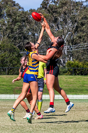 WPD QF - Sydney Uni v North Shore - 30 August 2025