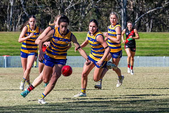 WPD QF - Sydney Uni v North Shore - 30 August 2025