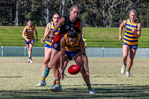 WPD QF - Sydney Uni v North Shore - 30 August 2025