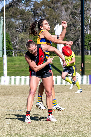 WPD QF - Sydney Uni v North Shore - 30 August 2025