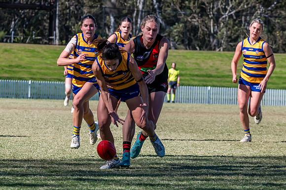 WPD QF - Sydney Uni v North Shore - 30 August 2025