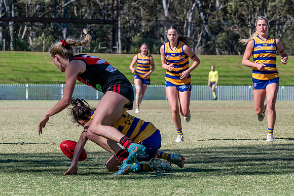 WPD QF - Sydney Uni v North Shore - 30 August 2025
