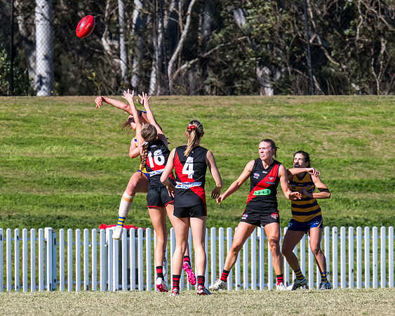 WPD QF - Sydney Uni v North Shore - 30 August 2025