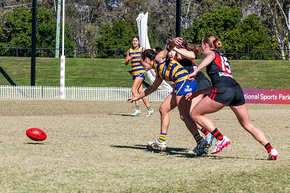 WPD QF - Sydney Uni v North Shore - 30 August 2025