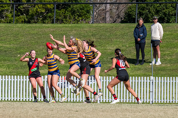 WPD QF - Sydney Uni v North Shore - 30 August 2025