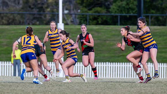 WPD QF - Sydney Uni v North Shore - 30 August 2025