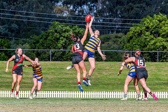WPD QF - Sydney Uni v North Shore - 30 August 2025