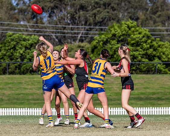 WPD QF - Sydney Uni v North Shore - 30 August 2025