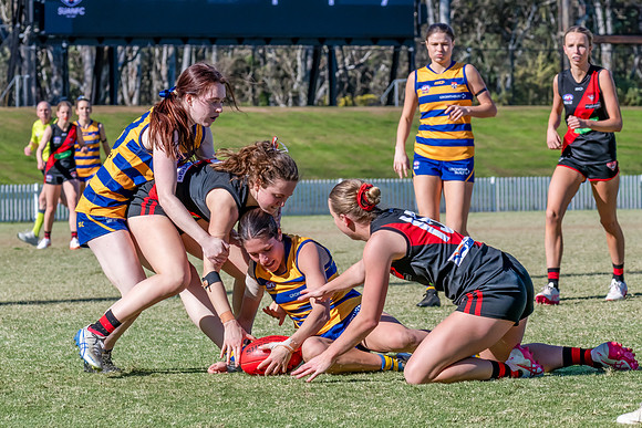 WPD QF - Sydney Uni v North Shore - 30 August 2025