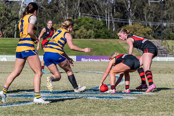 WPD QF - Sydney Uni v North Shore - 30 August 2025