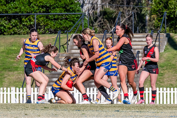WPD QF - Sydney Uni v North Shore - 30 August 2025