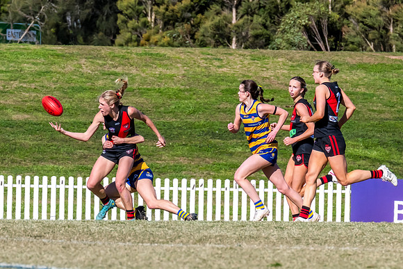 WPD QF - Sydney Uni v North Shore - 30 August 2025