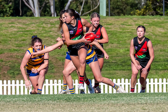 WPD QF - Sydney Uni v North Shore - 30 August 2025