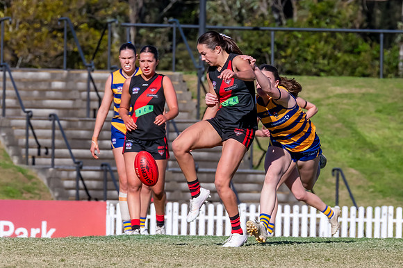 WPD QF - Sydney Uni v North Shore - 30 August 2025
