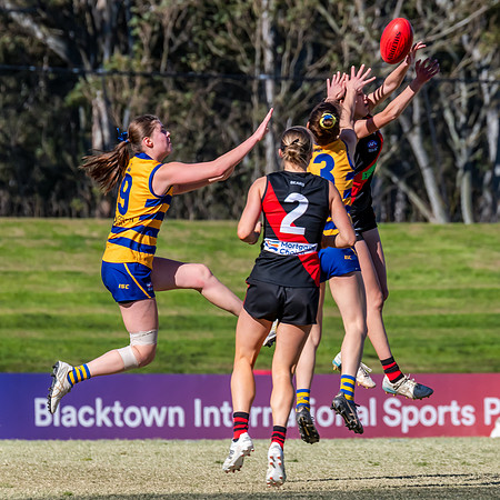 WPD QF - Sydney Uni v North Shore - 30 August 2025