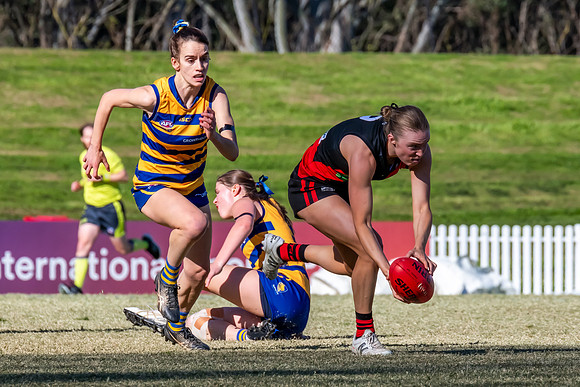 WPD QF - Sydney Uni v North Shore - 30 August 2025
