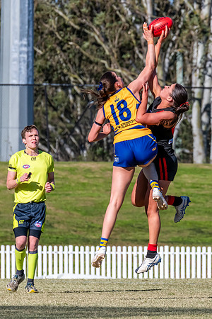 WPD QF - Sydney Uni v North Shore - 30 August 2025