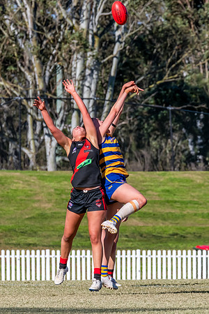 WPD QF - Sydney Uni v North Shore - 30 August 2025