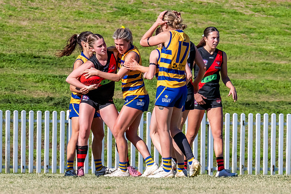 WPD QF - Sydney Uni v North Shore - 30 August 2025
