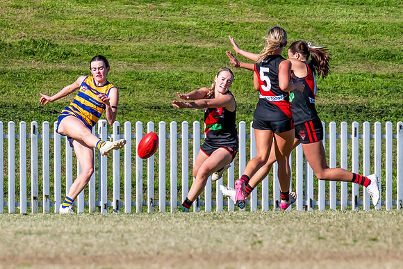 WPD QF - Sydney Uni v North Shore - 30 August 2025