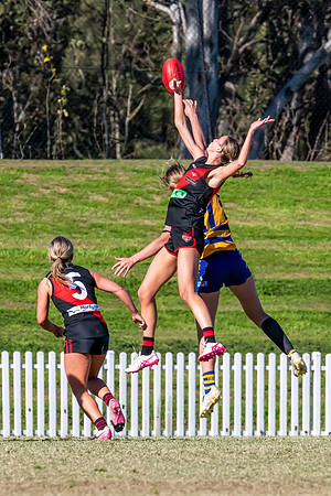 WPD QF - Sydney Uni v North Shore - 30 August 2025