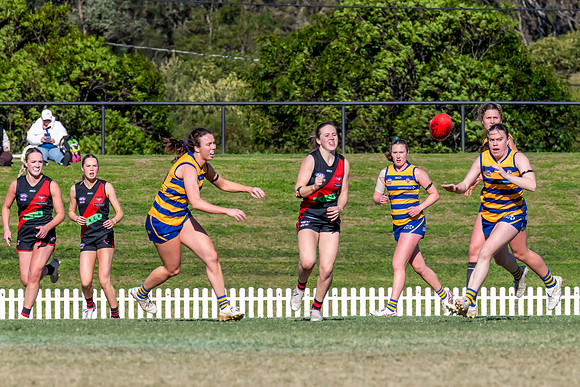 WPD QF - Sydney Uni v North Shore - 30 August 2025