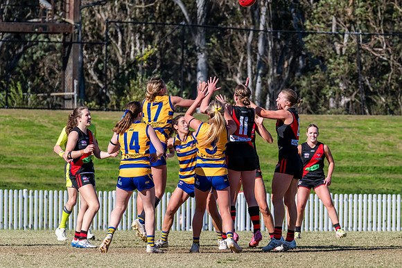 WPD QF - Sydney Uni v North Shore - 30 August 2025