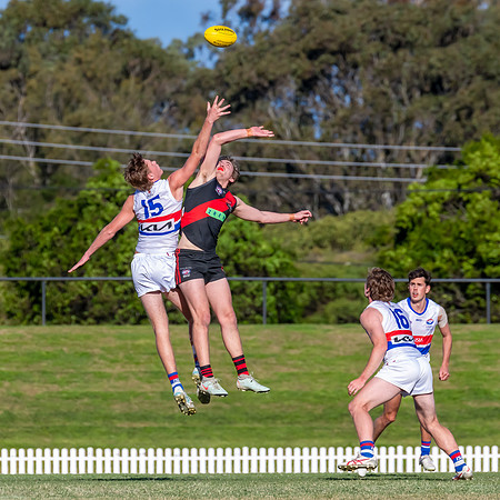 MPD QF - North Shore v UNSW-ES - 30 August 2025
