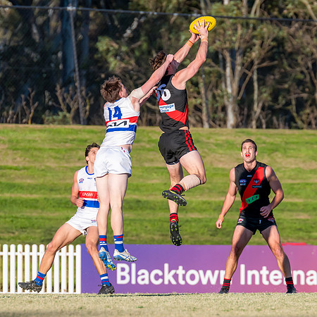 MPD QF - North Shore v UNSW-ES - 30 August 2025
