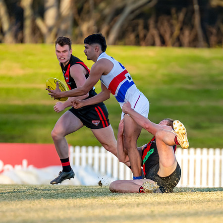MPD QF - North Shore v UNSW-ES - 30 August 2025