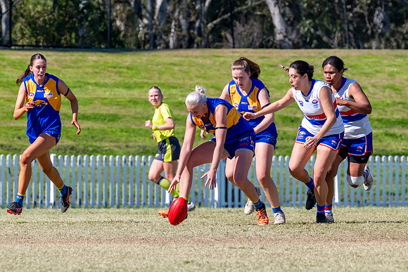 WPD QF - East Coast v UNSW-ES - 31 August 2025