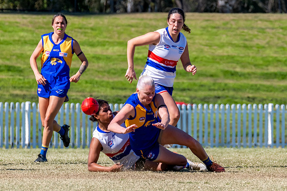 WPD QF - East Coast v UNSW-ES - 31 August 2025