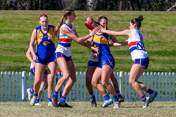WPD QF - East Coast v UNSW-ES - 31 August 2025