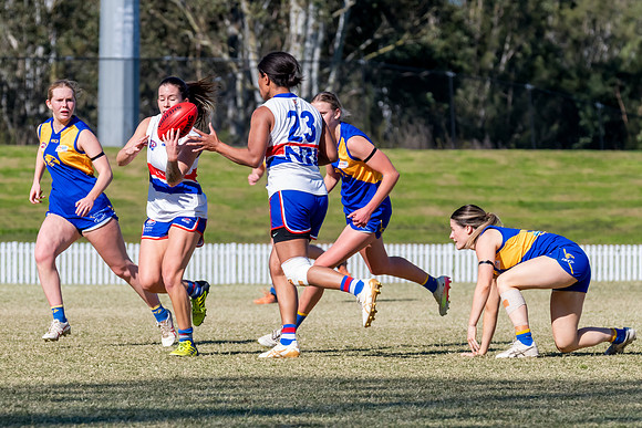 WPD QF - East Coast v UNSW-ES - 31 August 2025
