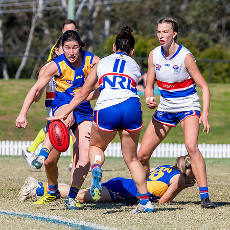 WPD QF - East Coast v UNSW-ES - 31 August 2025