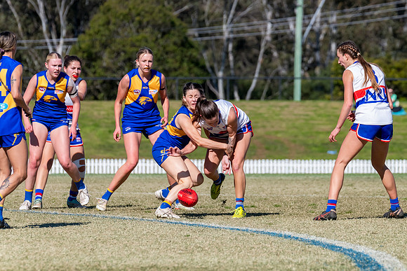 WPD QF - East Coast v UNSW-ES - 31 August 2025