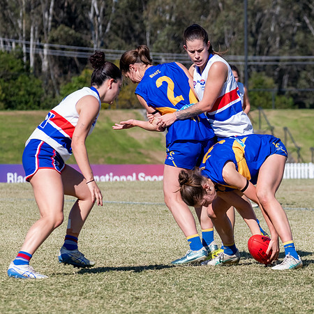WPD QF - East Coast v UNSW-ES - 31 August 2025