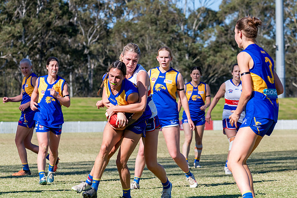 WPD QF - East Coast v UNSW-ES - 31 August 2025