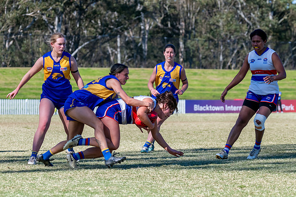 WPD QF - East Coast v UNSW-ES - 31 August 2025