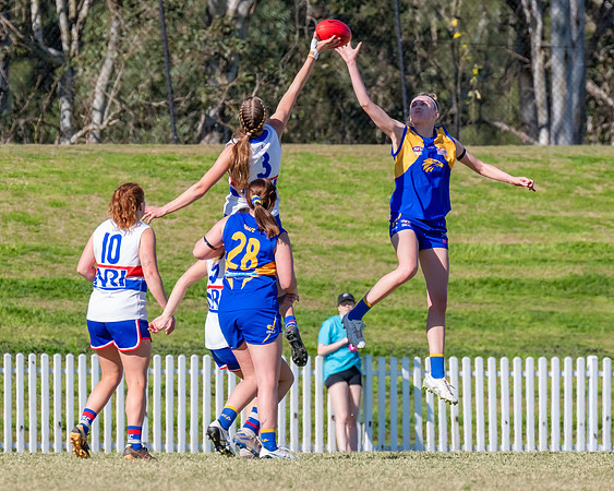 WPD QF - East Coast v UNSW-ES - 31 August 2025