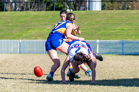 WPD QF - East Coast v UNSW-ES - 31 August 2025