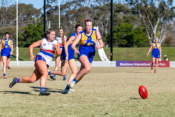 WPD QF - East Coast v UNSW-ES - 31 August 2025