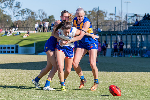 WPD QF - East Coast v UNSW-ES - 31 August 2025