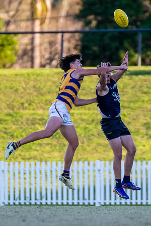 MPD QF - Sydney Uni v SWS - 31 August 2025