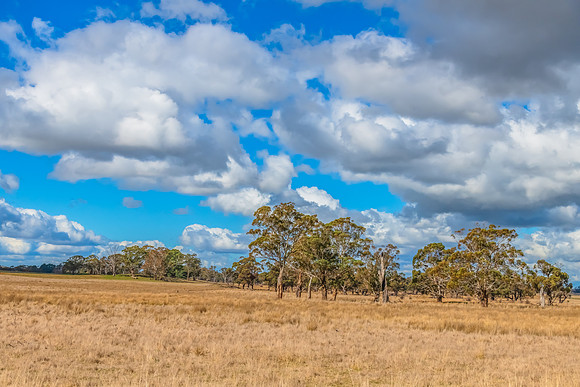 Clouds and a Winter sky over rural land