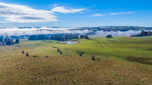 Early morning fog rolling through the countryside