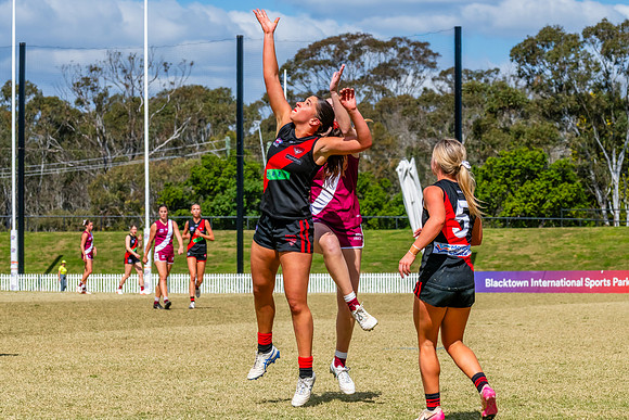 WPD Major SF- Manly Warringah v North Shore - 6 Septemb